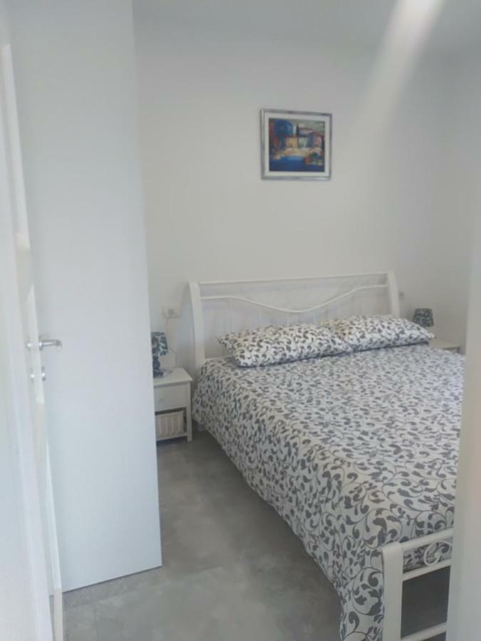 Apartment Ivana Novigrad  Exterior photo