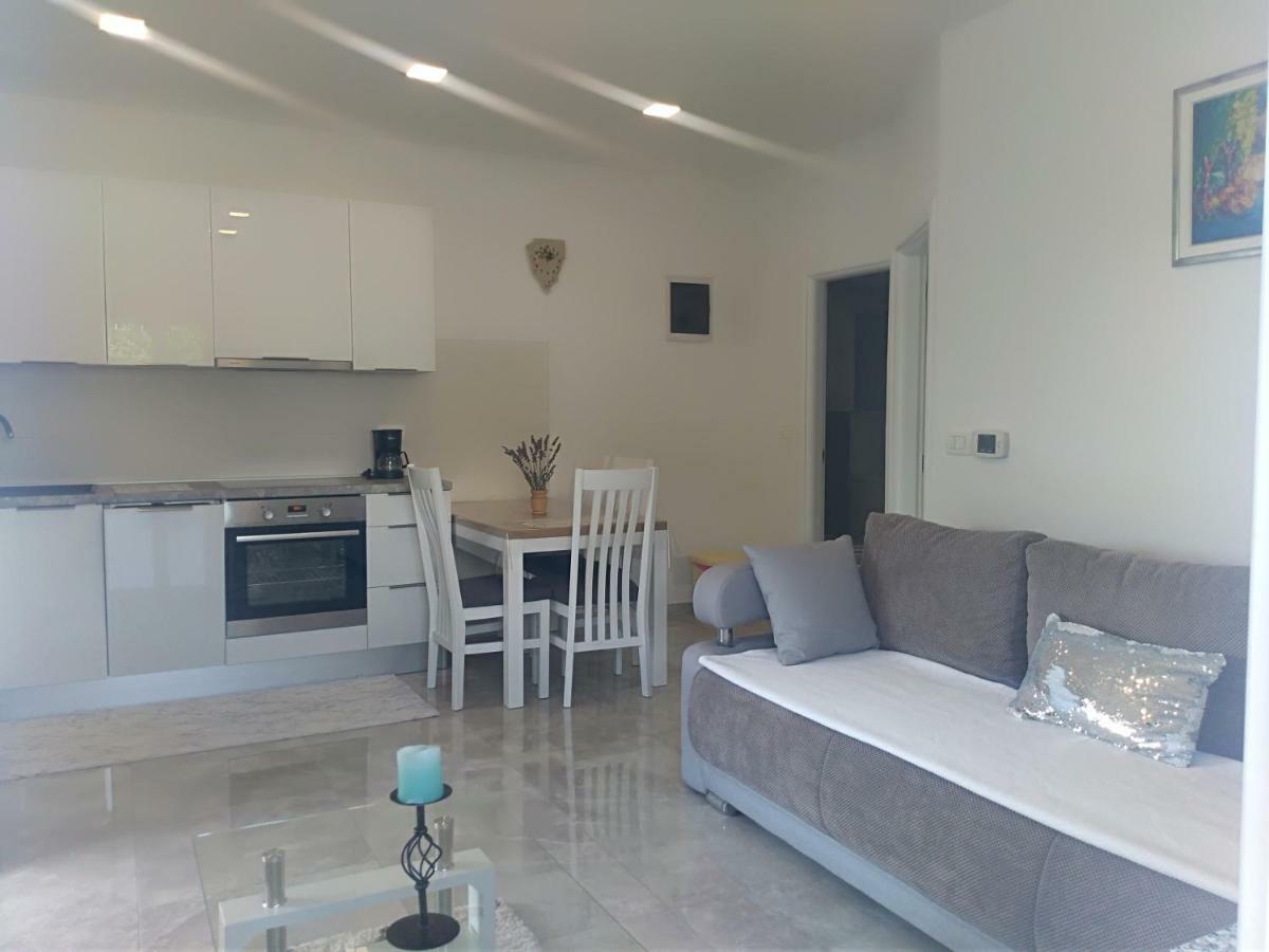 Apartment Ivana Novigrad  Exterior photo