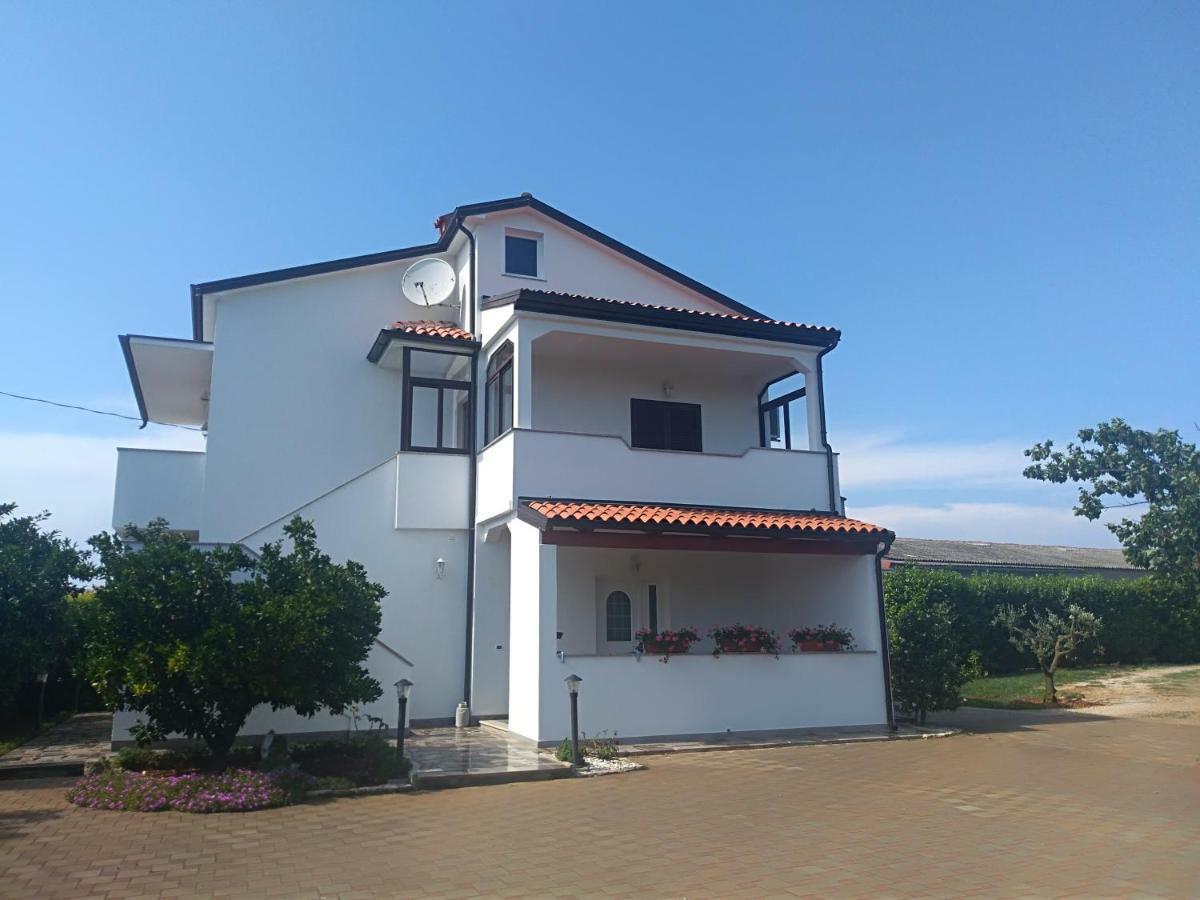 Apartment Ivana Novigrad  Exterior photo